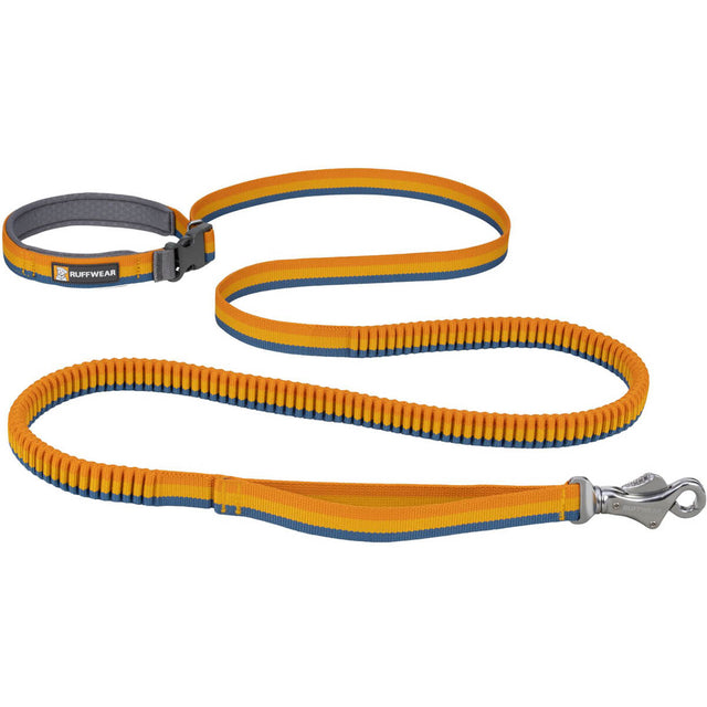 Roamer Bungee Dog Leash