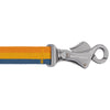 Roamer Bungee Dog Leash