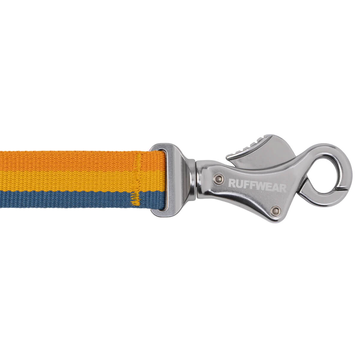 Roamer Bungee Dog Leash