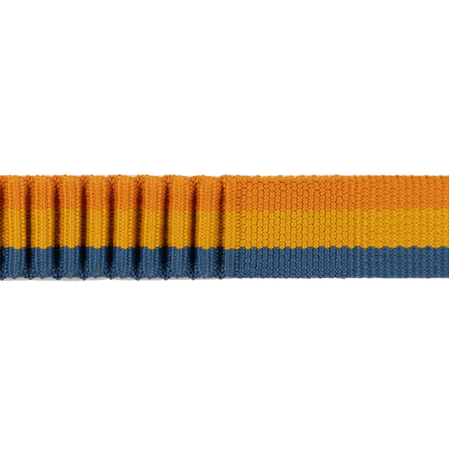 Roamer Bungee Dog Leash
