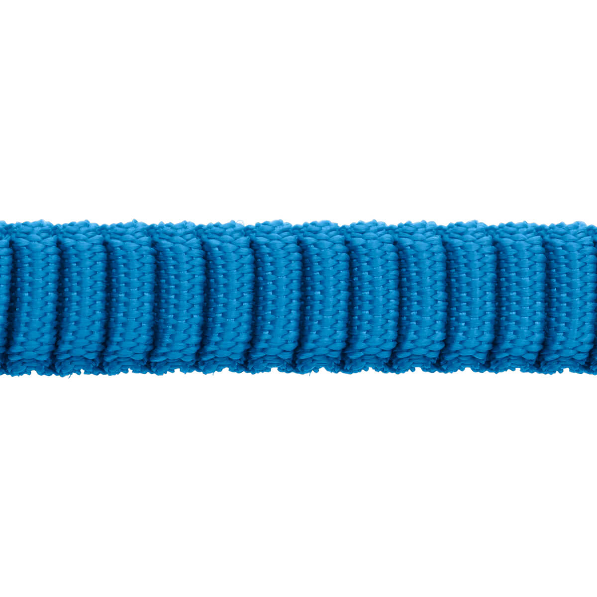 Trail Runner Dog Leash