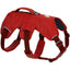 Web Master Harness with Handle