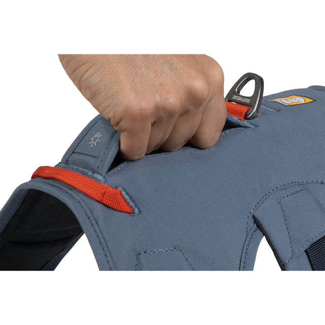 Web Master Harness with Handle