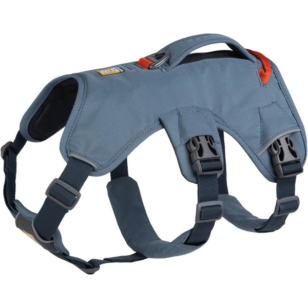 Web Master Harness with Handle