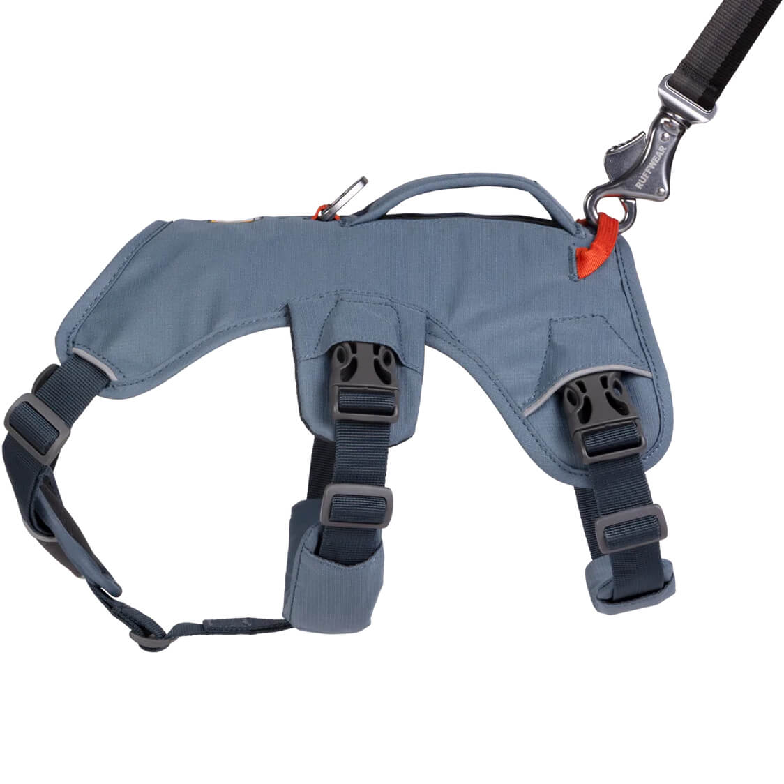 Web Master Harness with Handle