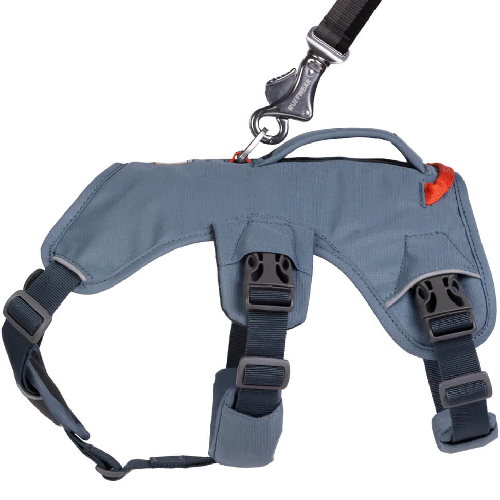 Web Master Harness with Handle