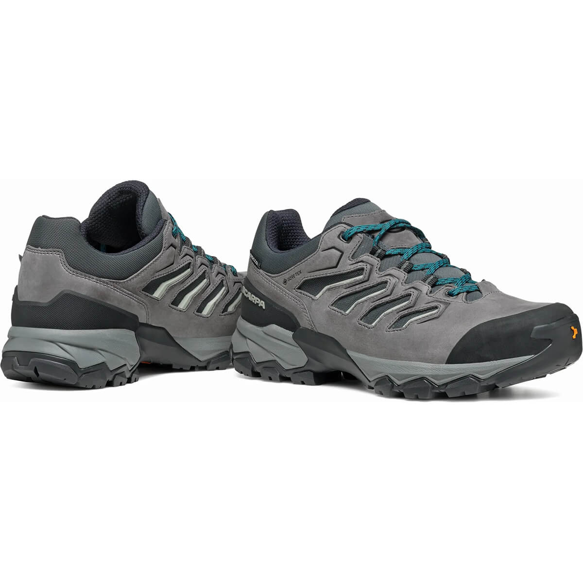 Moraine GTX Shoe