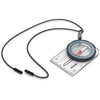Field Compass