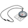 Field Compass