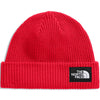 Salty Lined Beanie