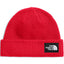 Salty Lined Beanie