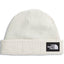 Salty Lined Beanie