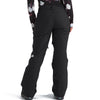 Freedom Women's Insulated Pants